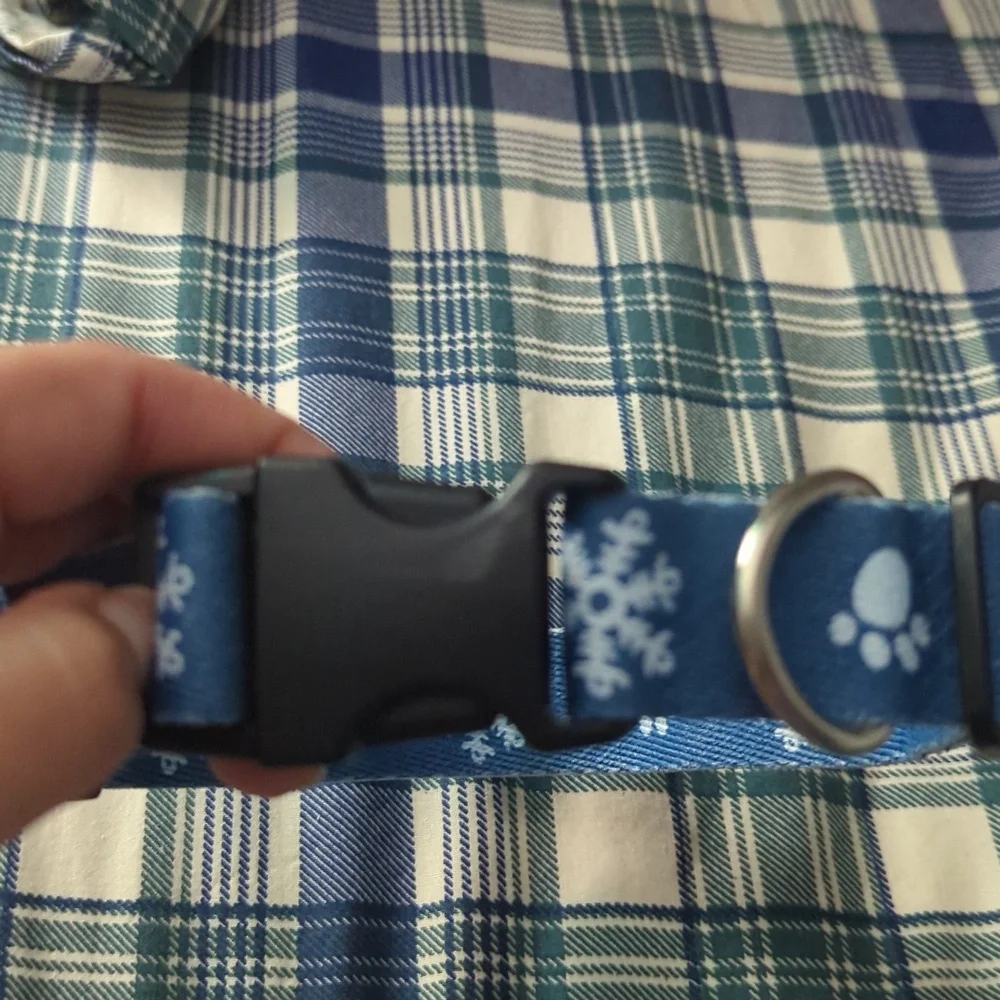 Matching Dog Collar and Leash - Picture 2 of 3